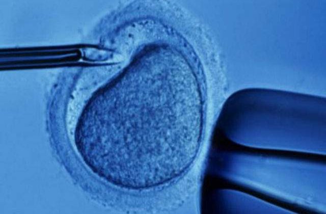 Un tip de fecundare in vitro poate provoca retard mintal