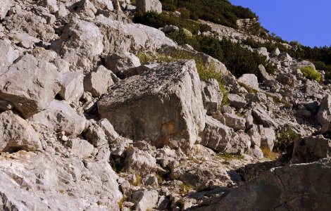 Indonezia: Șase persoane au murit în urma unei alunecări de teren