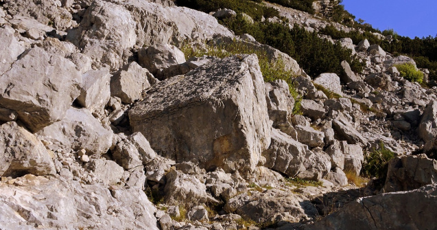 Indonezia: Șase persoane au murit în urma unei alunecări de teren