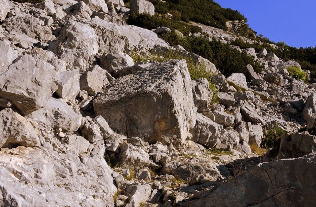 Indonezia: Șase persoane au murit în urma unei alunecări de teren