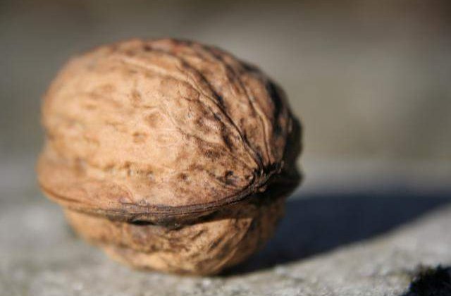 [VIDEO] Fernando Alonso, spargatorul de nuci