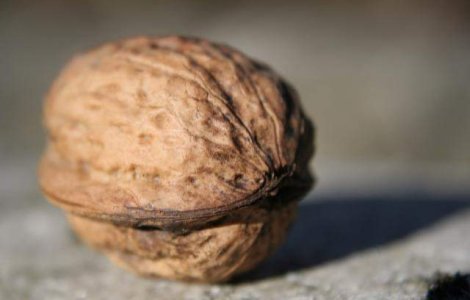  Video  Fernando Alonso, spargatorul de nuci