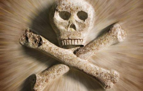 Pirateria maritima, la cote maxime in 2009