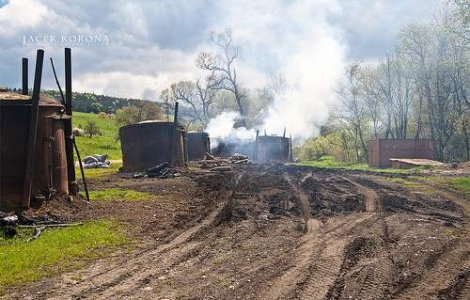 Cadou de la amazonieni: Arma impotriva incalzirii globale