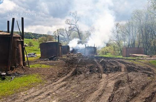 Cadou de la amazonieni: Arma impotriva incalzirii globale