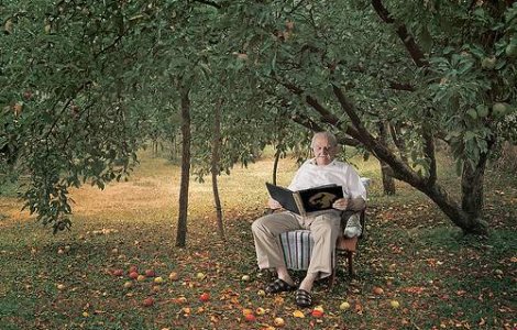 Numarul de pensii, redus in 2010