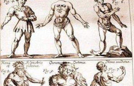 In Turcia s-a nascut un miel cu fata de om!