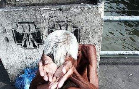 Saracia extrema, principala sursa de ingrijorare in lume