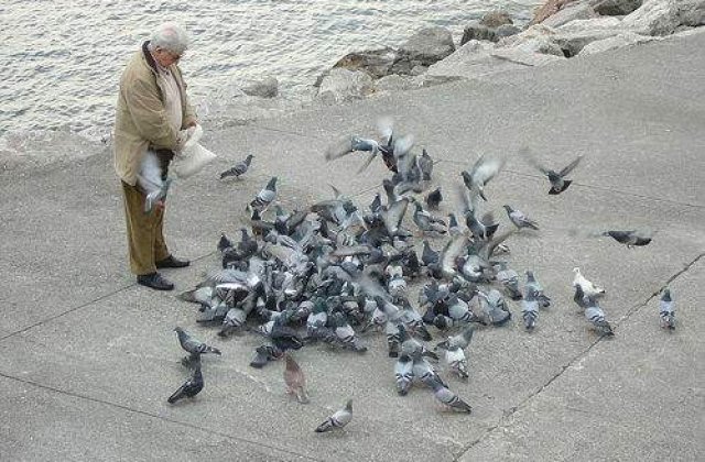 [VIDEO] Cat de mult vei trai?