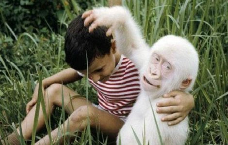  Top  Anomaliile naturii: Top 10 creaturi albinoase deosebite