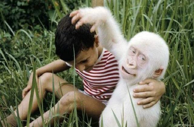 Anomaliile naturii: Top 10 creaturi albinoase deosebite