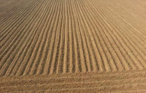 Peste 80% din parcelele agricole din Romania, la limita incarcaturii cu nitrati