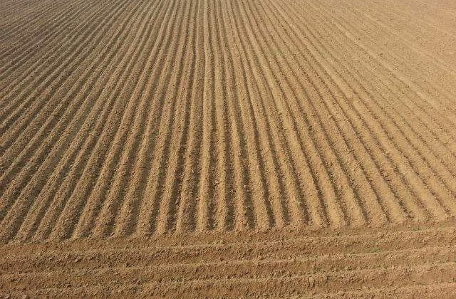 Peste 80% din parcelele agricole din Romania, la limita incarcaturii cu nitrati