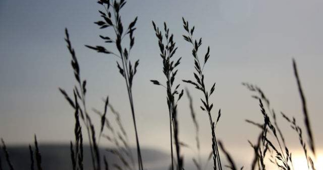 Meteo: Starea vremii la inceputul saptamanii