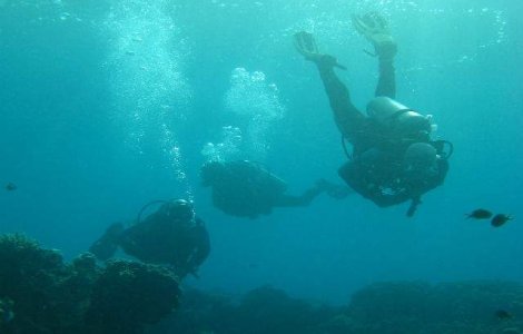 O padure submarina veche de 50.000 de ani, descoperita in Alabama