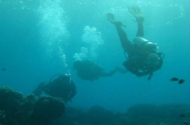 O padure submarina veche de 50.000 de ani, descoperita in Alabama