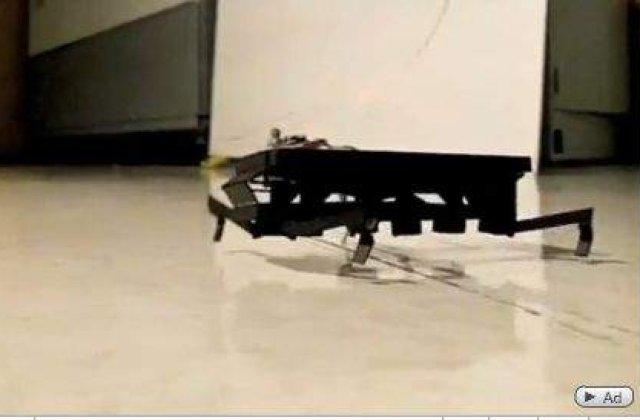 [VIDEO] Mini-robotii vor cauta supravietuitorii cutremurelor