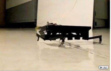  Video  Mini-robotii vor cauta supravietuitorii cutremurelor