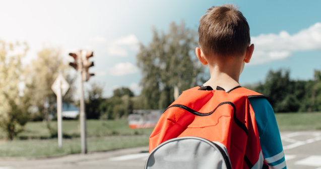 Incident periculos în Tulcea: Un elev și-a înjunghiat colegul de școală