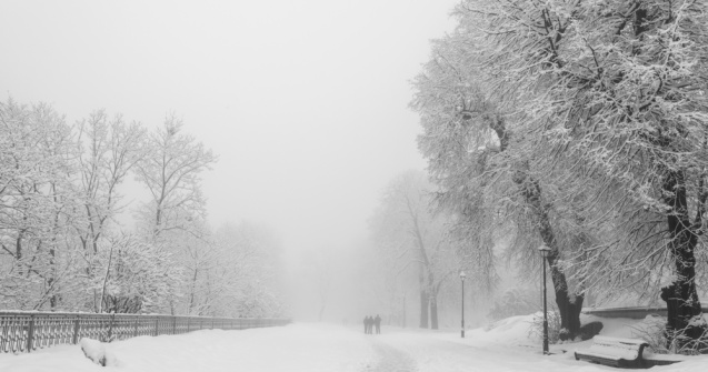Cod GALBEN de ninsori abundente la munte. Harta cu zonele vizate