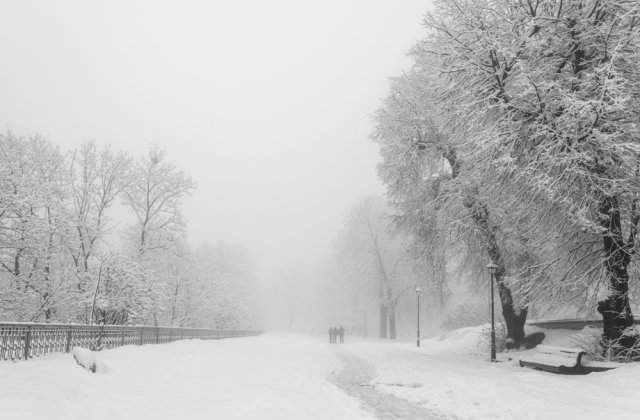 Cod GALBEN de ninsori abundente la munte. Harta cu zonele vizate