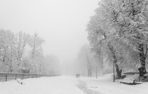Cod GALBEN de ninsori abundente la munte. Harta cu zonele vizate