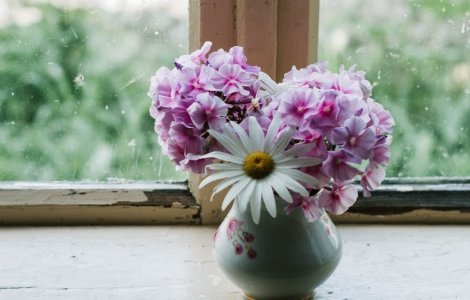 Cum menții florile proaspete cât mai mult timp. Iată câteva sfaturi importante