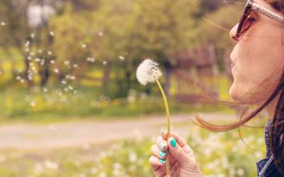 Cum te poți feri de bolile...