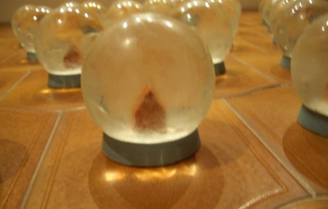 Rezidenta la ICR Venetia sau film de Hitchcock: "Timp de 6 luni am trait o continua lupta de supravietuire"