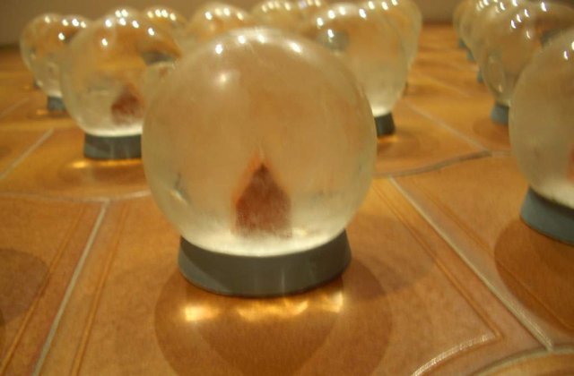 Rezidenta la ICR Venetia sau film de Hitchcock: "Timp de 6 luni am trait o continua lupta de supravietuire"