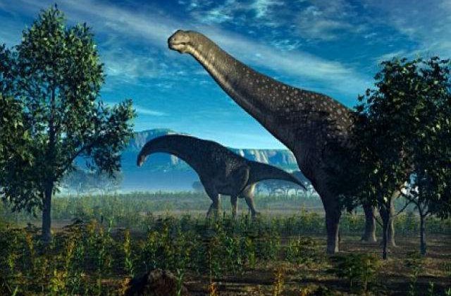 Dintii dinozaurilor erbivori se schimbau o data pe luna