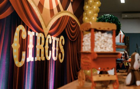 VIDEO Doi elefanți au devenit agresivi în timpul unui spectacol de circ