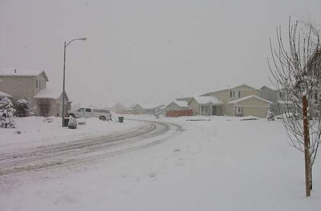 Primele victime ale gerului. Un barbat din Bucuresti a murit inghetat