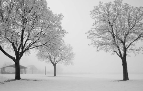 Alte 11 decese cauzate de frig in Polonia, bilantul total depaseste 200