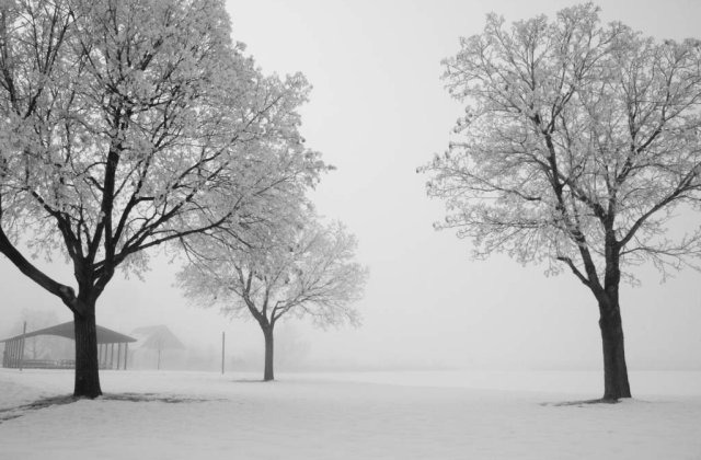 Alte 11 decese cauzate de frig in Polonia, bilantul total depaseste 200