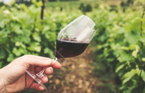 STUDIU: Vinul își poate păstra calitățile după 14 luni petrecute în spațiu