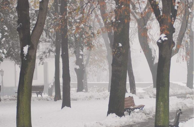 Prognozele meteo eronate ar putea fi anchetate