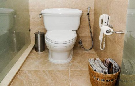 ONU: 19 noiembrie, desemnata Ziua Mondiala a Toaletelor