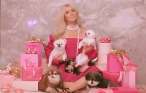 Paris Hilton i-a cumpărat câinelui său o geantă. Cât a costat accesoriul