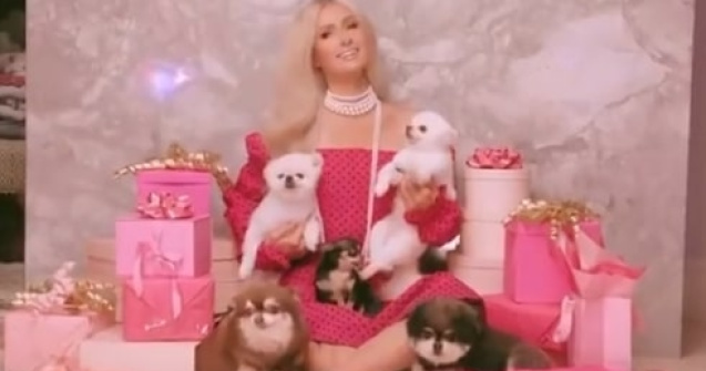 Paris Hilton i-a cumpărat câinelui său o geantă. Cât a costat accesoriul