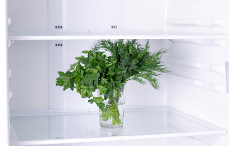  Top  Pătrunjel si mărar mereu proaspăt: 3 modalități de păstrare a verdețurilor