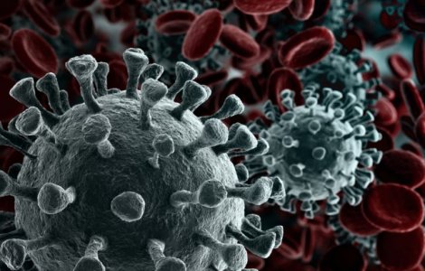 O nouă variantă a coronavirusului a fost descoperită în Brazilia