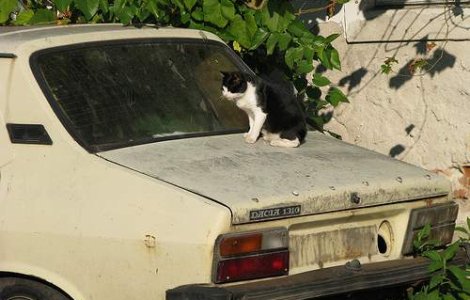 Romanii isi pot lua oricate masini doresc, prin Programul Rabla