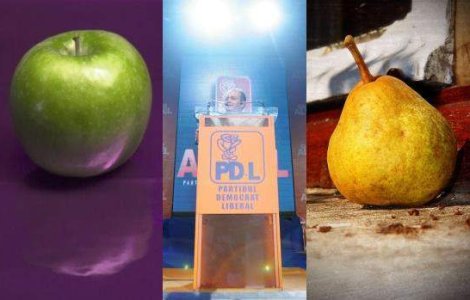 Noua sigla PD-L: Preda are mere, Oltean cere pere