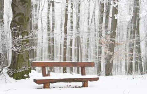 Alte noua persoane au murit de frig