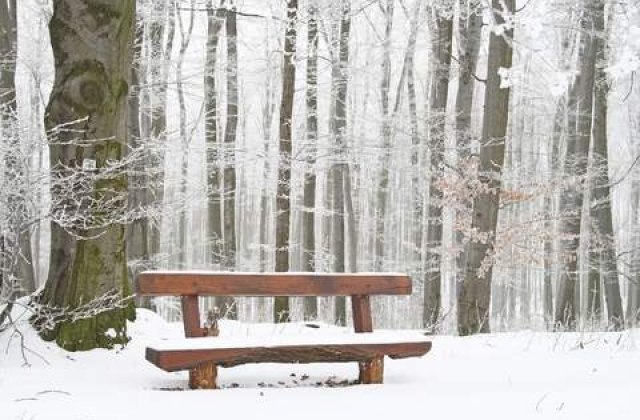 Alte noua persoane au murit de frig