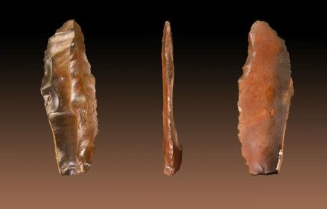 O unealta din silex, de 1,4 mil. de ani, descoperita in Spania