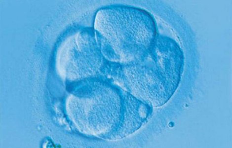 Campanie de donare de sange pentru celule stem in Capitala