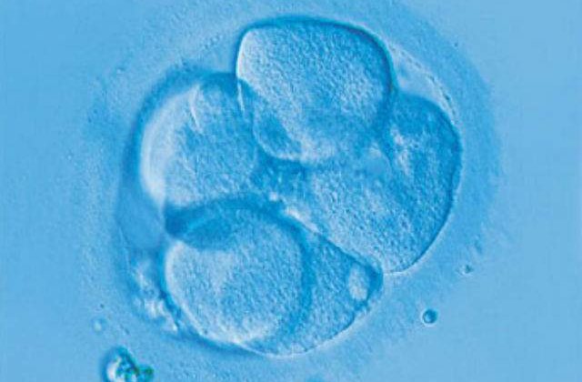 Campanie de donare de sange pentru celule stem in Capitala