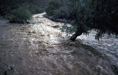 Mai multe rauri din tara, sub cod galben de inundatii de marti seara
